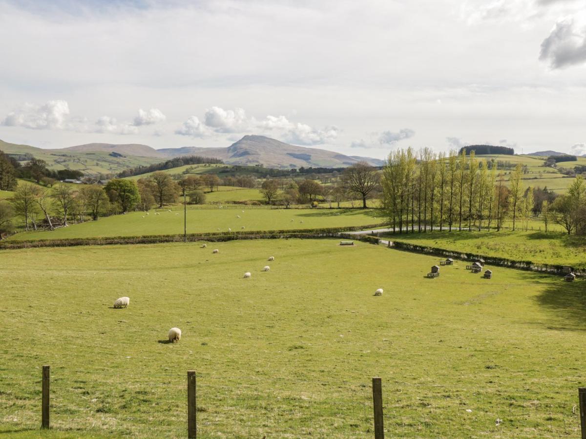 Cyffdy Cottage - Arenig บาลา ภายนอก รูปภาพ
