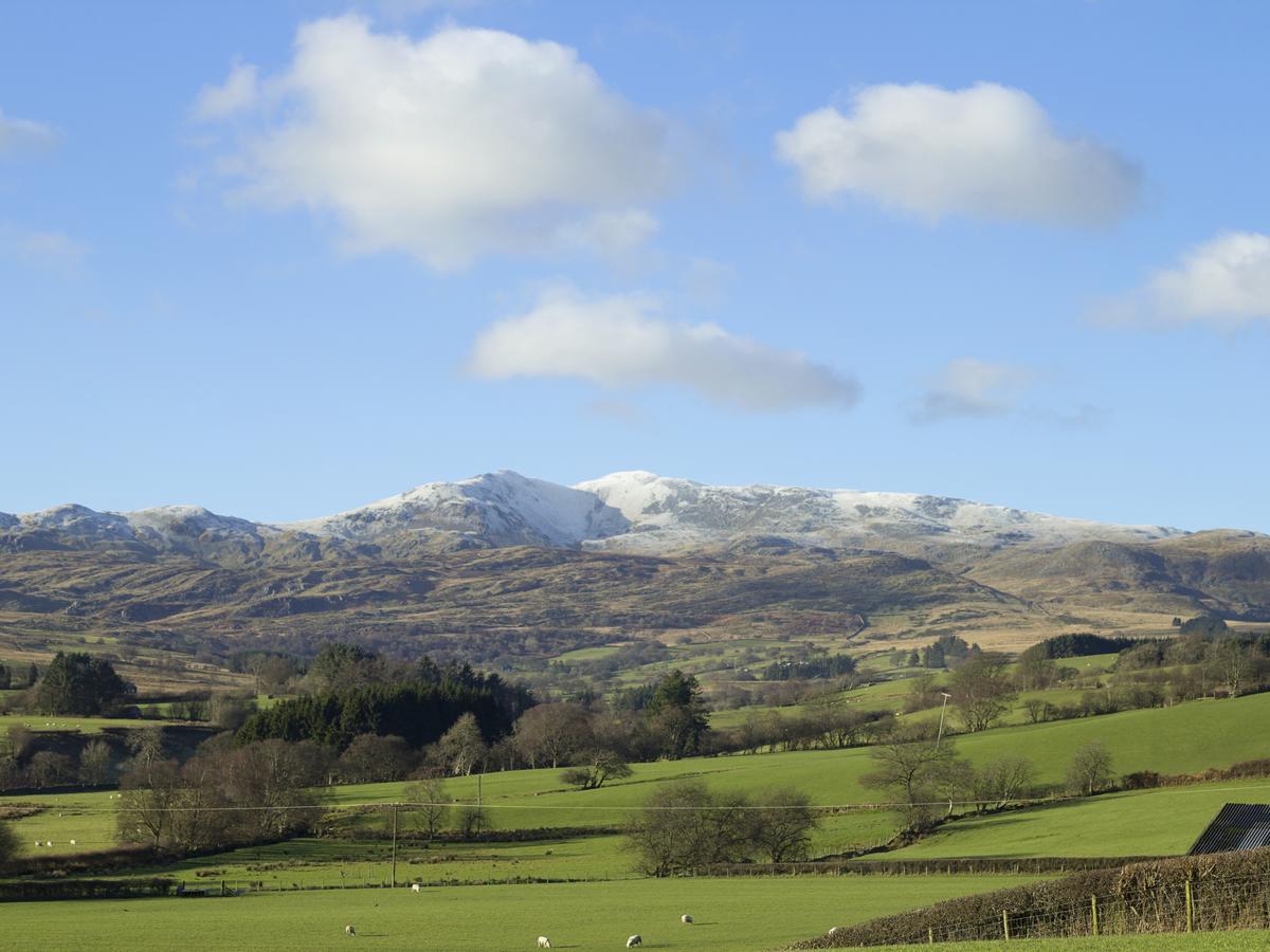 Cyffdy Cottage - Arenig บาลา ภายนอก รูปภาพ
